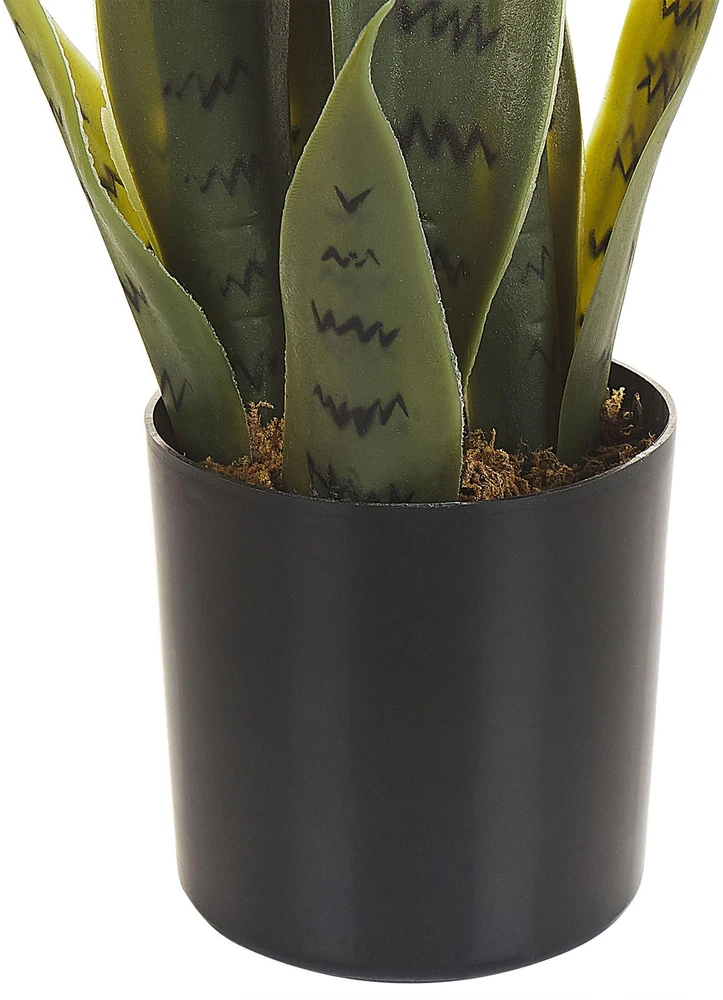 Beliani Dirbtinis augalas SNAKE PLANT 40 cm Žalias