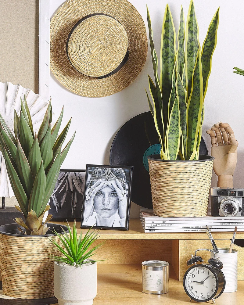 Beliani Dirbtinis augalas SNAKE PLANT 63 cm Žalias