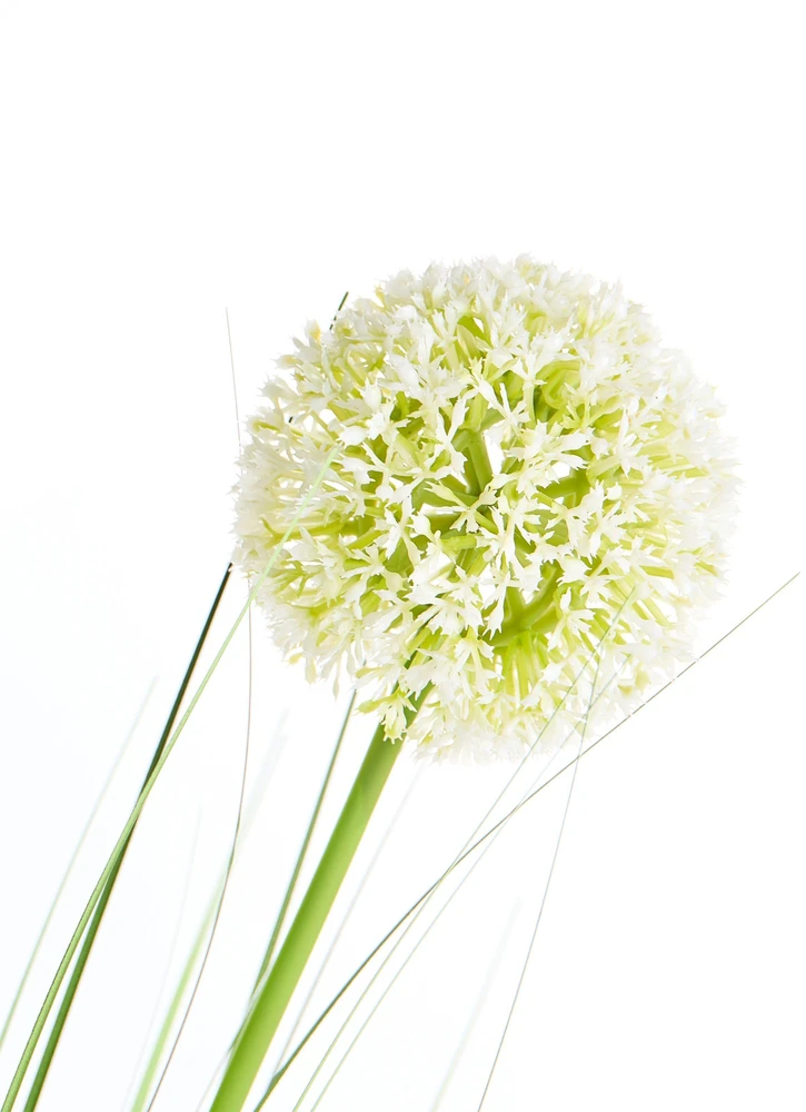 Beliani Dirbtinis augalas SNOWBALL BUSH 125 cm Žalias