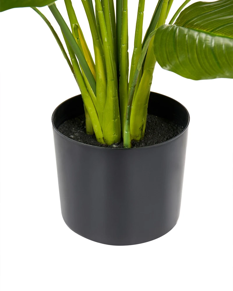 Beliani Dirbtinis augalas SPATHPHYLLUM 70 cm žalias
