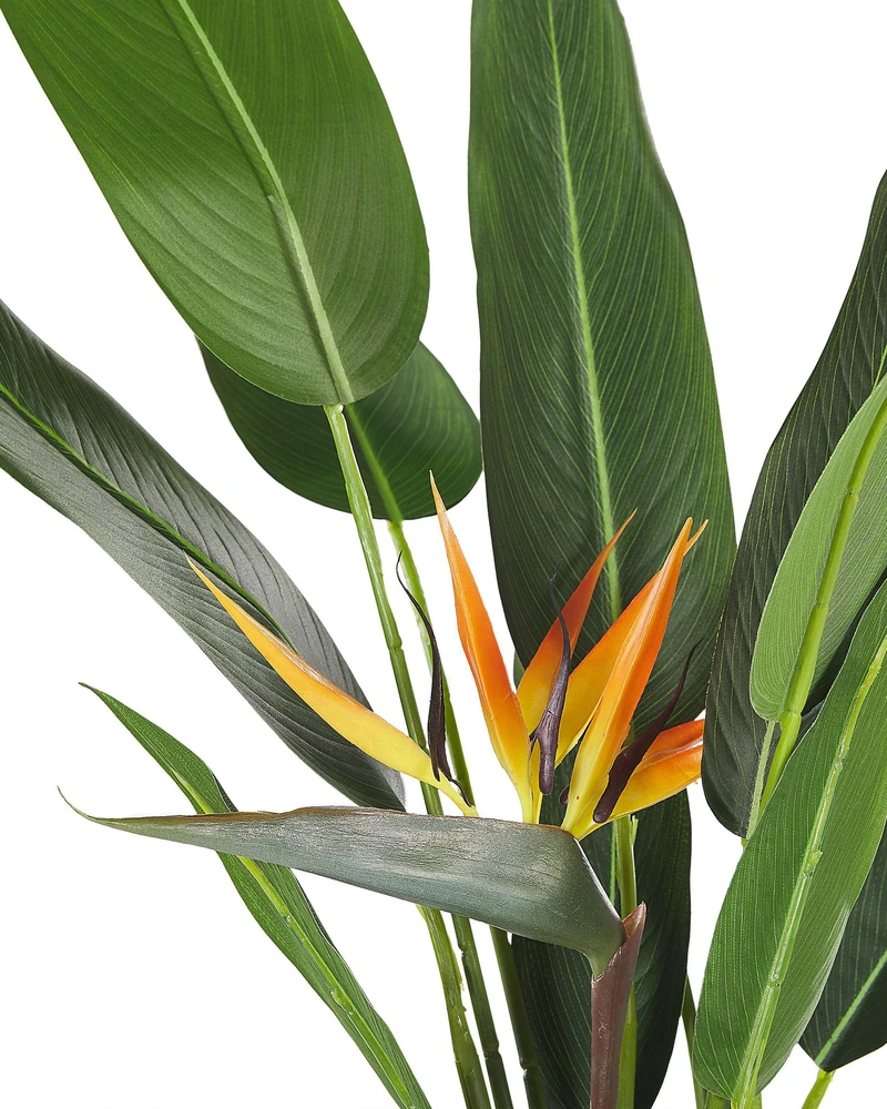 Beliani Dirbtinis augalas STRELITZIA TREE 115 cm žalias