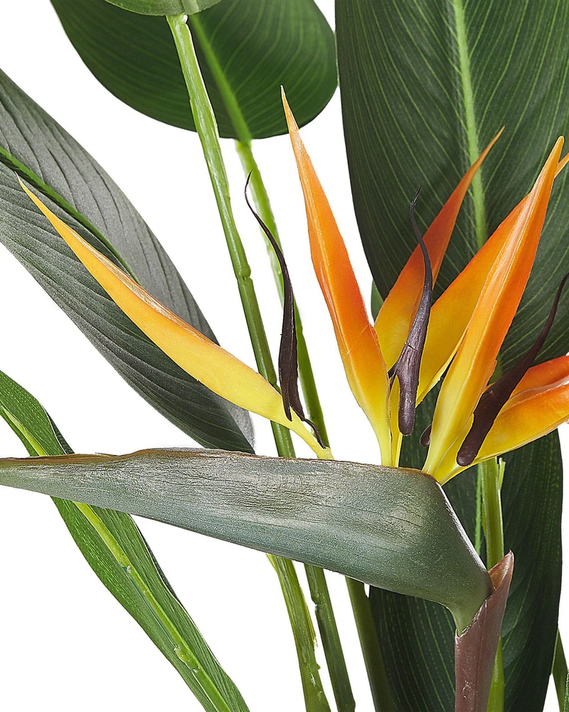 Beliani Dirbtinis augalas STRELITZIA TREE 115 cm žalias