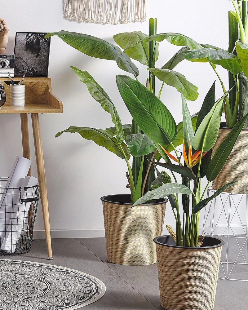 Beliani Dirbtinis augalas STRELITZIA TREE 115 cm žalias