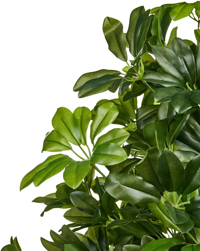 Beliani Dirbtinis augalas UMBRELLA TREE 175 cm Žalias