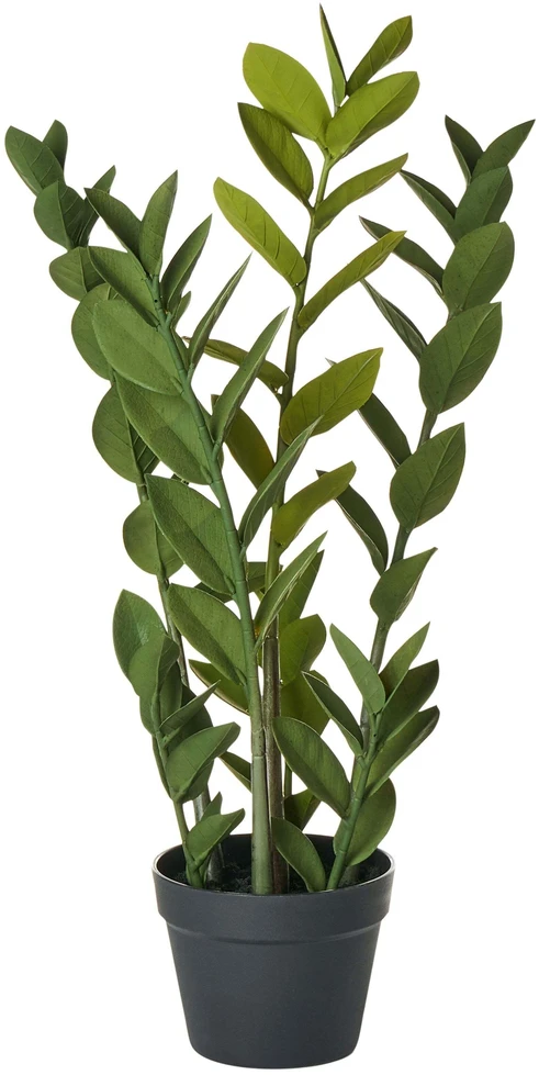 Beliani Dirbtinis augalas ZAMIIFOLIA 76 cm žalias