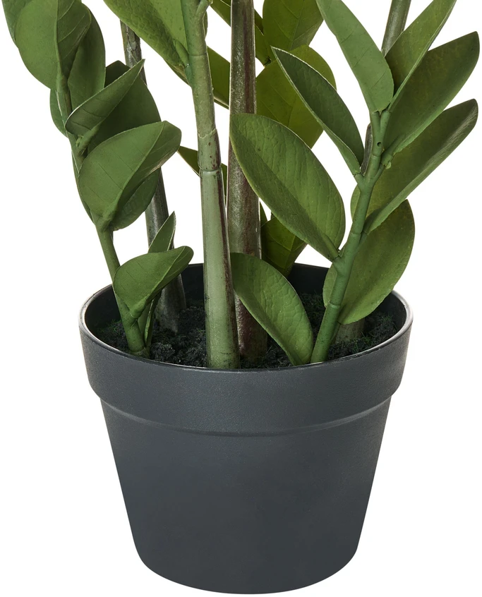 Beliani Dirbtinis augalas ZAMIIFOLIA 76 cm žalias