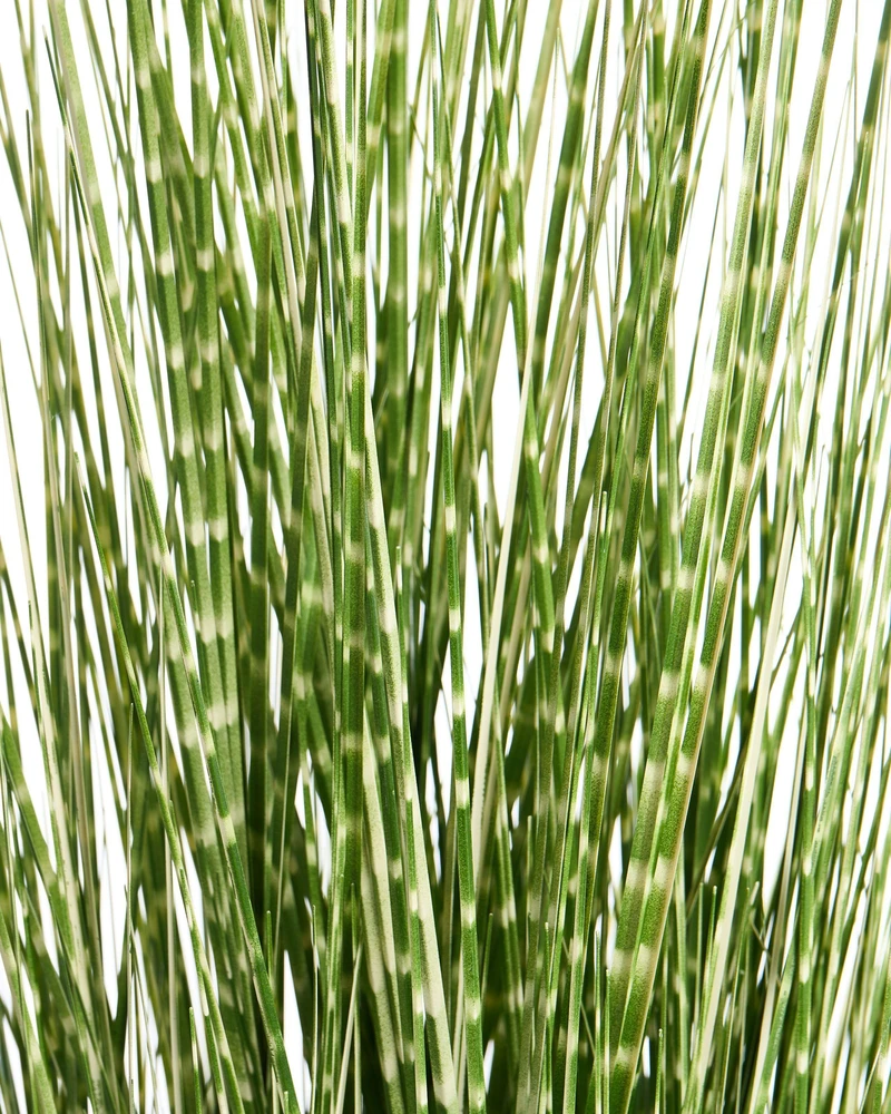 Beliani Dirbtinis augalas ZEBRA GRASS 120 cm žalias
