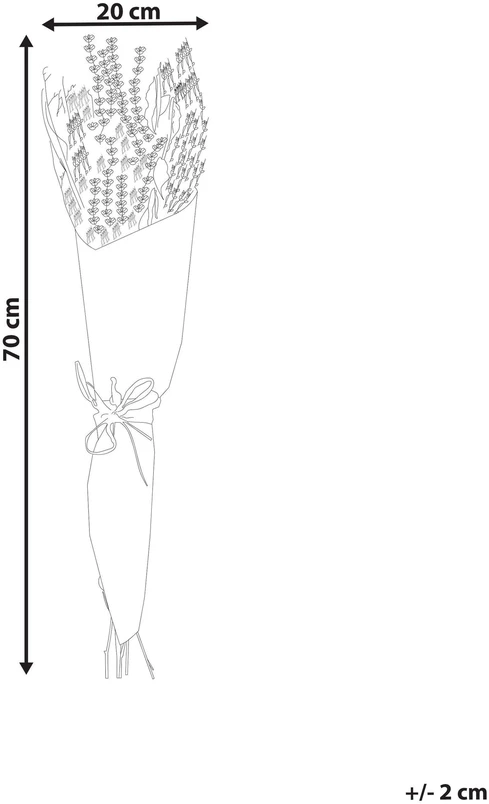 Beliani Džiovintų gėlių puokštė NAWARRA 70 cm natūrali