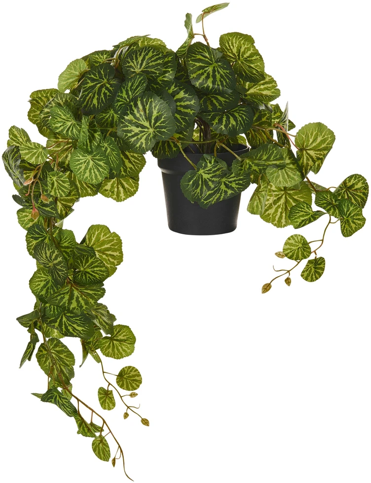 Beliani Kabantis dirbtinis augalas STRAWBERRY BEGONIA, 37 cm, žalias