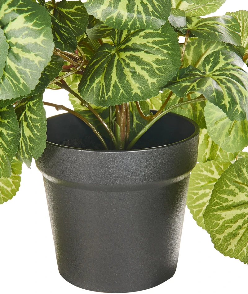 Beliani Kabantis dirbtinis augalas STRAWBERRY BEGONIA, 37 cm, žalias