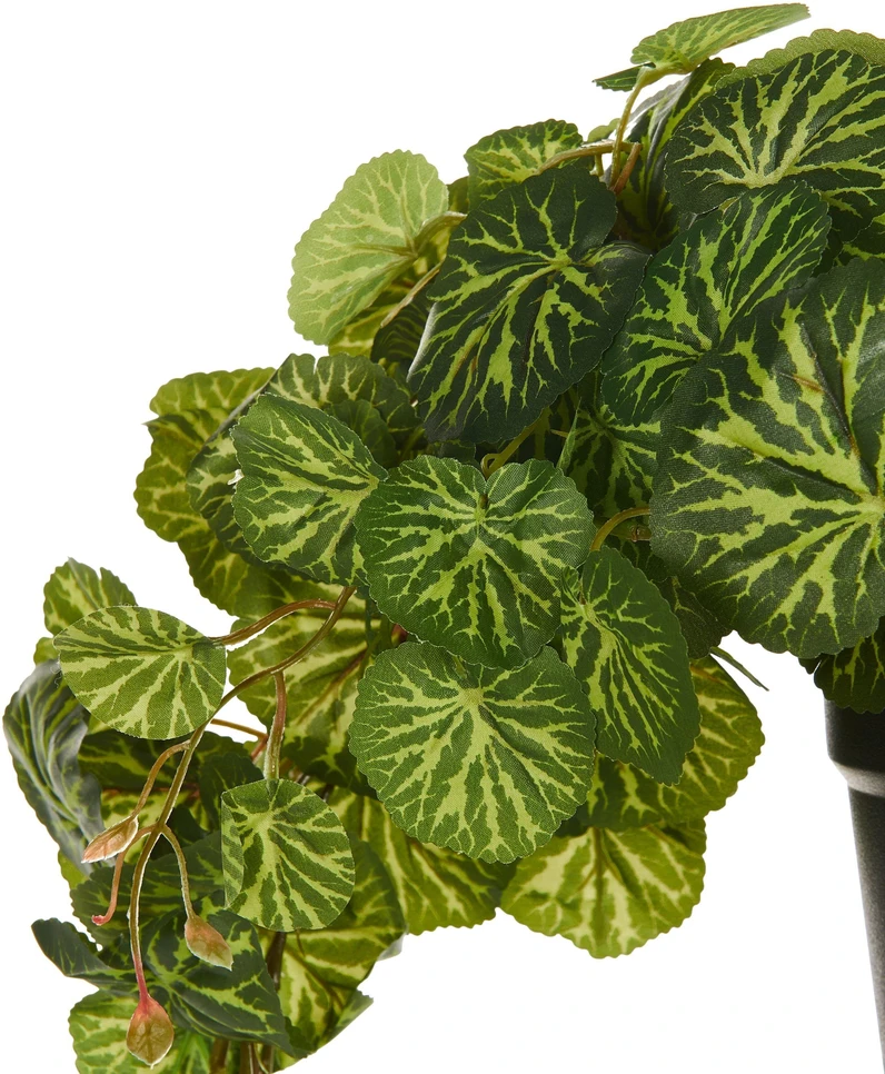 Beliani Kabantis dirbtinis augalas STRAWBERRY BEGONIA, 37 cm, žalias