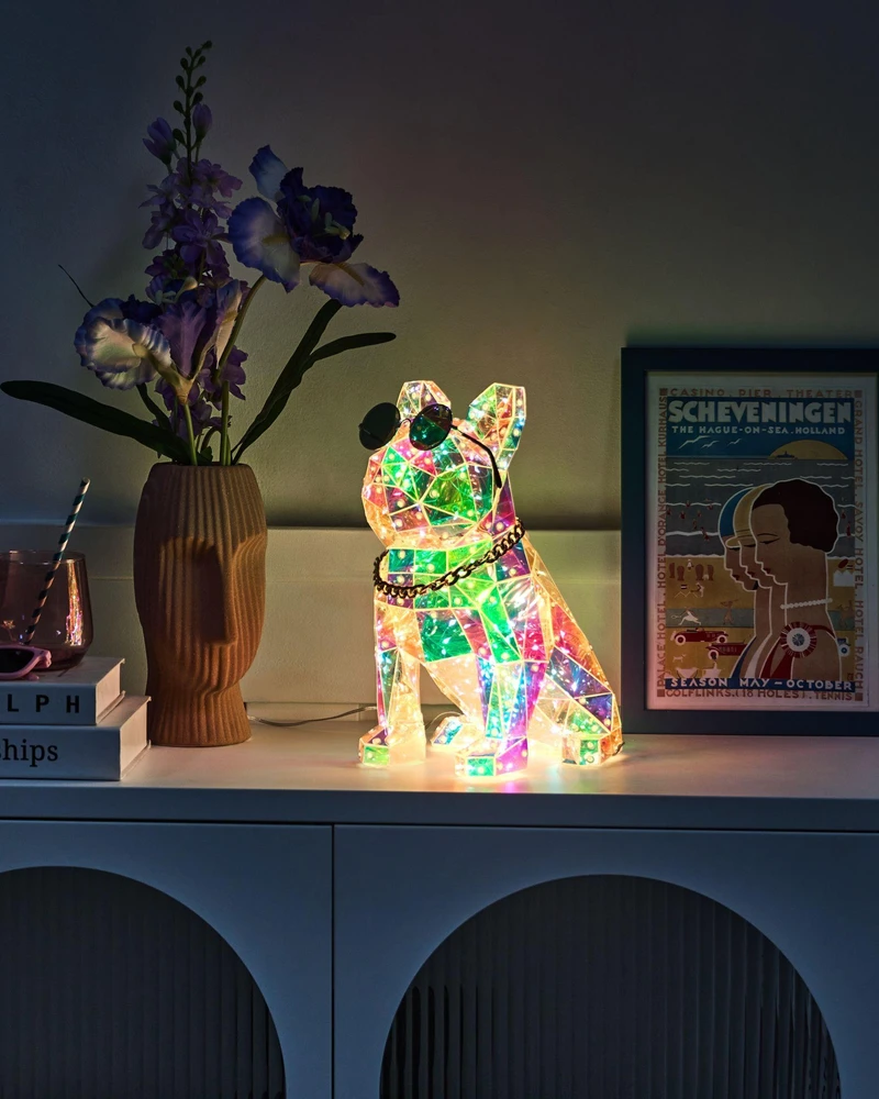 Beliani LED dekoracija šuo JONKU spalvota