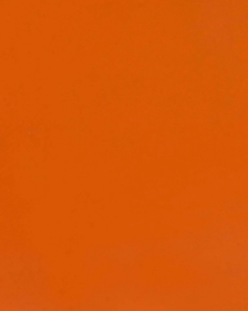 Beliani Sandėliavimo lentyna FIUGGI metalinė 200 cm 150 cm oranžinė