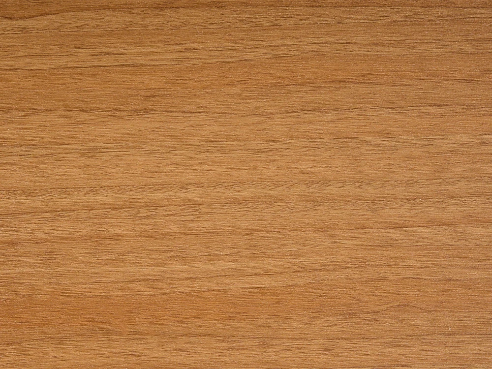 Beliani Sodo stalas TIANO 160 cm 90 cm metalinis juodas