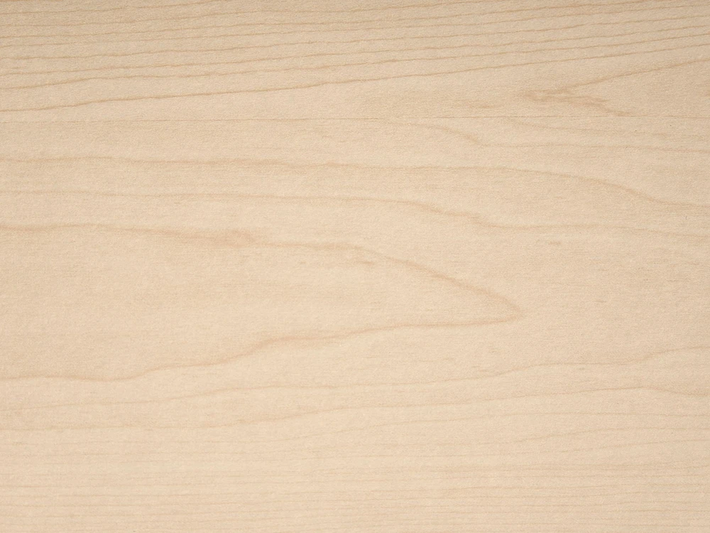 Beliani Technorattano lova MONPAZIER 120 x 200 cm šviesiai ruda