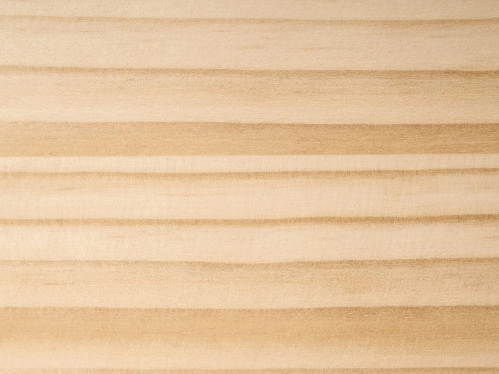 Beliani Vaikiška lova iš pušies medienos ECHALLON 80 x 200 cm, šviesiai ruda