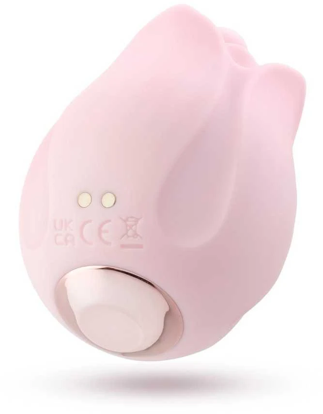 Blush ŽAISK SU MANIMI ROMANTIŠKA ROŽINĖ