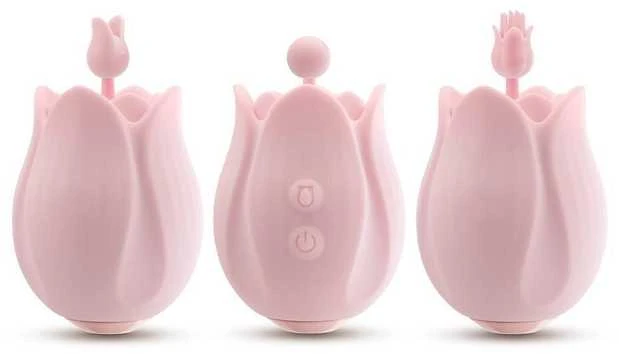 Blush ŽAISK SU MANIMI ROMANTIŠKA ROŽINĖ