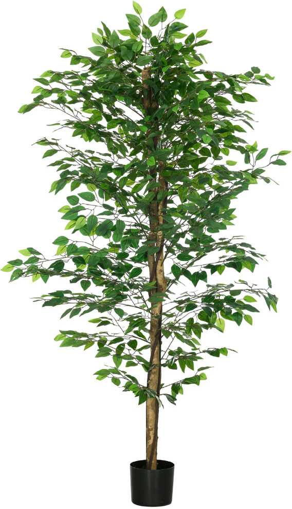 HOMCOM Dirbtinis augalas, 180 cm dirbtinis augalas su vazonu, dirbtinės samanos, dirbtinis fikusas, kambarinis augalas, žalias