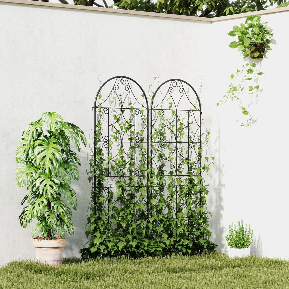 Outsunny metalinė grotelė vijokliniams augalams, 2 vnt. rinkinys, įsmeigiama, nerūdijanti, 50x150 cm, sodo grotelės kambariniams augalams, pomidorams, daržovėms ir gėlėms, juoda