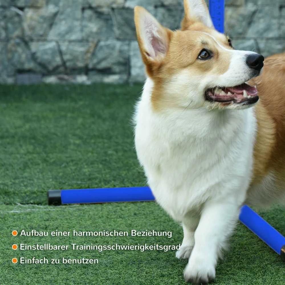 PawHut šunų dresūros rinkinys, agility kliūčių ruožas, 4 kliūtys, plastikas, mėlyna, 99x65x94 cm