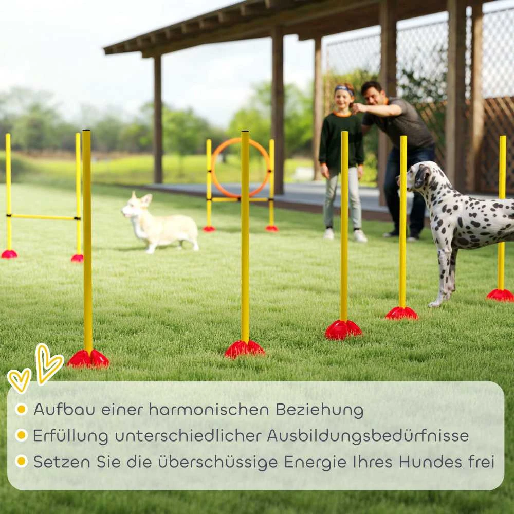 PawHut Agility rinkinys šunims, 4 dalių, užpildomas, agility įranga šunų dresūrai, kliūčių ruožas su reguliuojamo aukščio slalomo stulpais, šuolių kliūtimis ir žiedu, koordinacijos treniruotėms