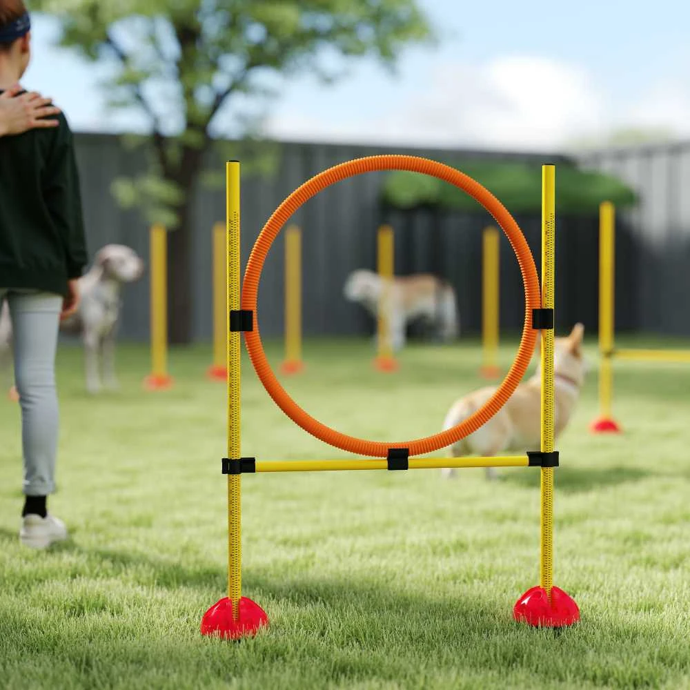 PawHut Agility rinkinys šunims, 4 dalių, užpildomas, agility įranga šunų dresūrai, kliūčių ruožas su reguliuojamo aukščio slalomo stulpais, šuolių kliūtimis ir žiedu, koordinacijos treniruotėms