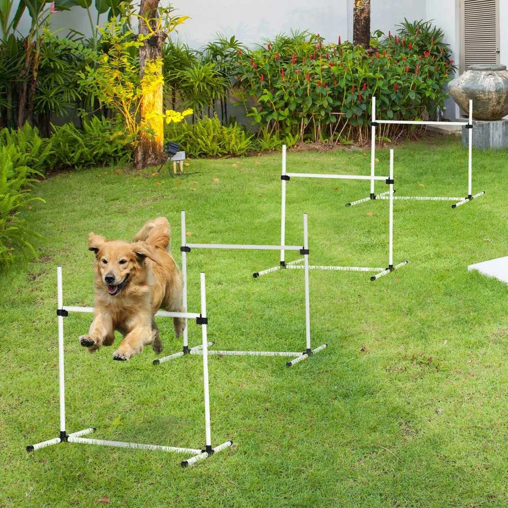 PawHut šunų dresūros rinkinys, agility kliūčių ruožas, slalomui, 4 kliūtys, plastikas, baltas, 99x65x94cm