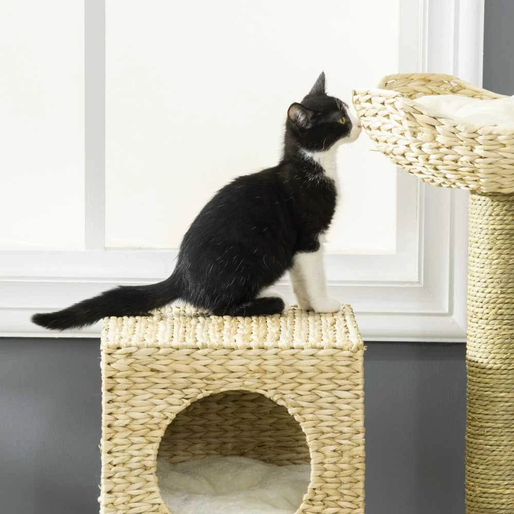 PawHut kačių draskyklė 100,5 cm, kačių medis su nameliu, lova, laipteliais, draskykle su sizalio stulpais, pagalvėlėmis, iki 4,5kg, natūrali | Aosom