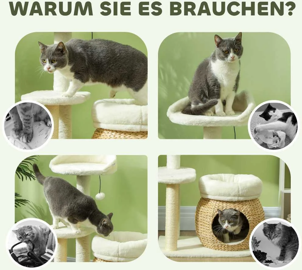 PawHut 79 cm draskyklė-namelis, su landyne, lovomis ir žaisliniais kamuoliukais, sizalio kolonėlės, katėms iki 5kg, kreminės spalvos