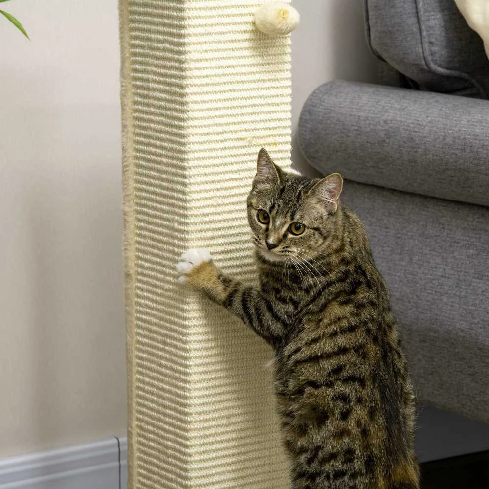 PawHut draskyklė, 80 cm aukščio draskymo stulpas su žaidimų kamuoliuku, sizalio virvės draskymo stulpelis, draskymo lenta, ąžuolo ir kreminės baltos spalvos, katėms
