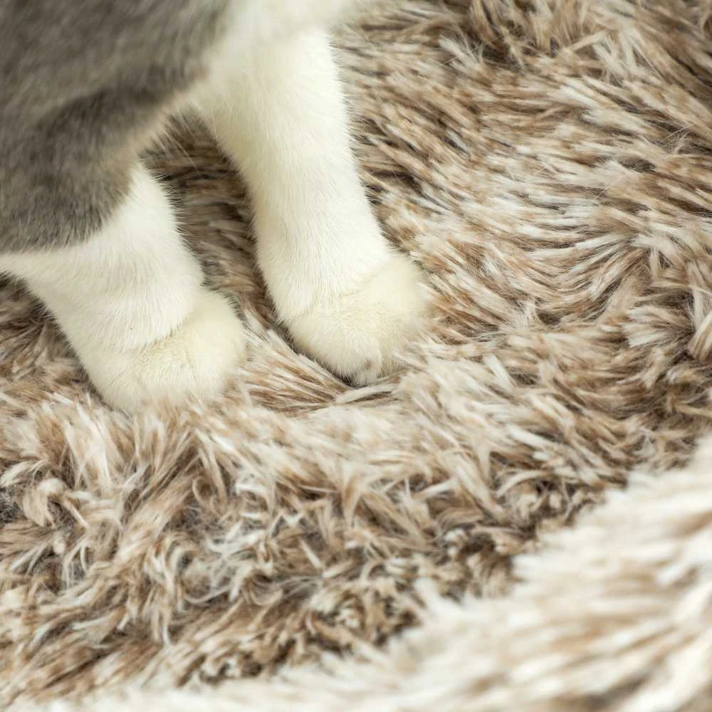 PawHut draskyklė katėms, 87 cm aukščio, su guoliu, storu stulpu, sizalio draskymo stulpais, katėms iki 6kg, vidaus naudojimui, ruda
