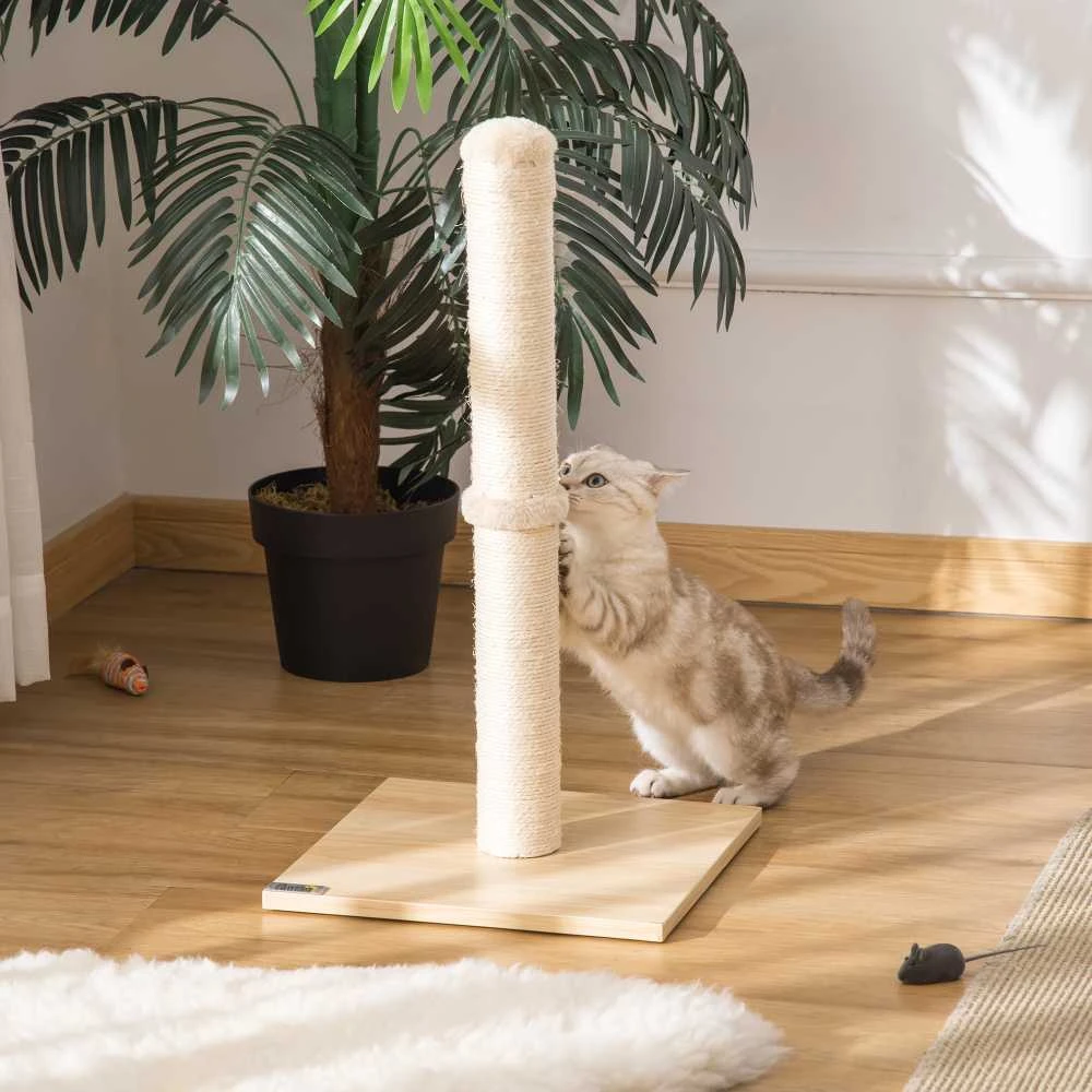 PawHut draskyklė-stulpas, sizalio draskymo stulpas katėms, stabilus, su kamuoliuku, 60 cm, medžio drožlių plokštė, smėlio spalvos ir ąžuolo