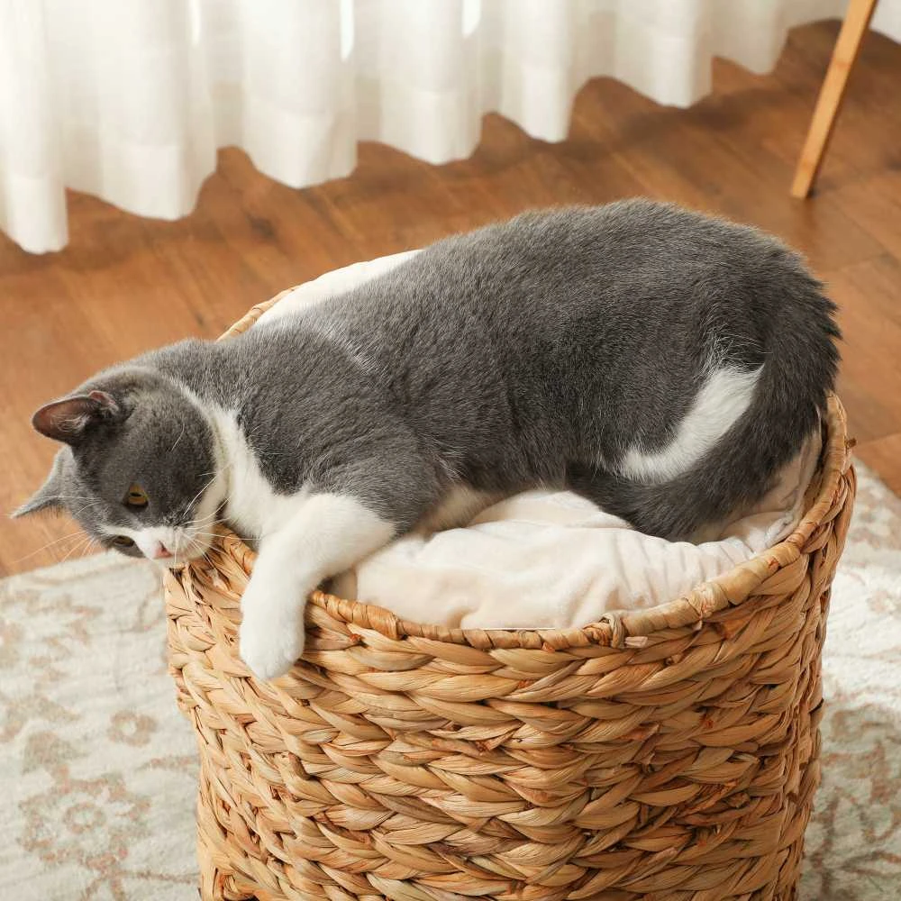 PawHut draskyklė-namelis, 50 cm aukščio katėms su 2 olomis, draskyklė su pagalvėlėmis, kačių bokštas iš vandens hiacinto, katėms iki 3,5kg, šviesiai ruda