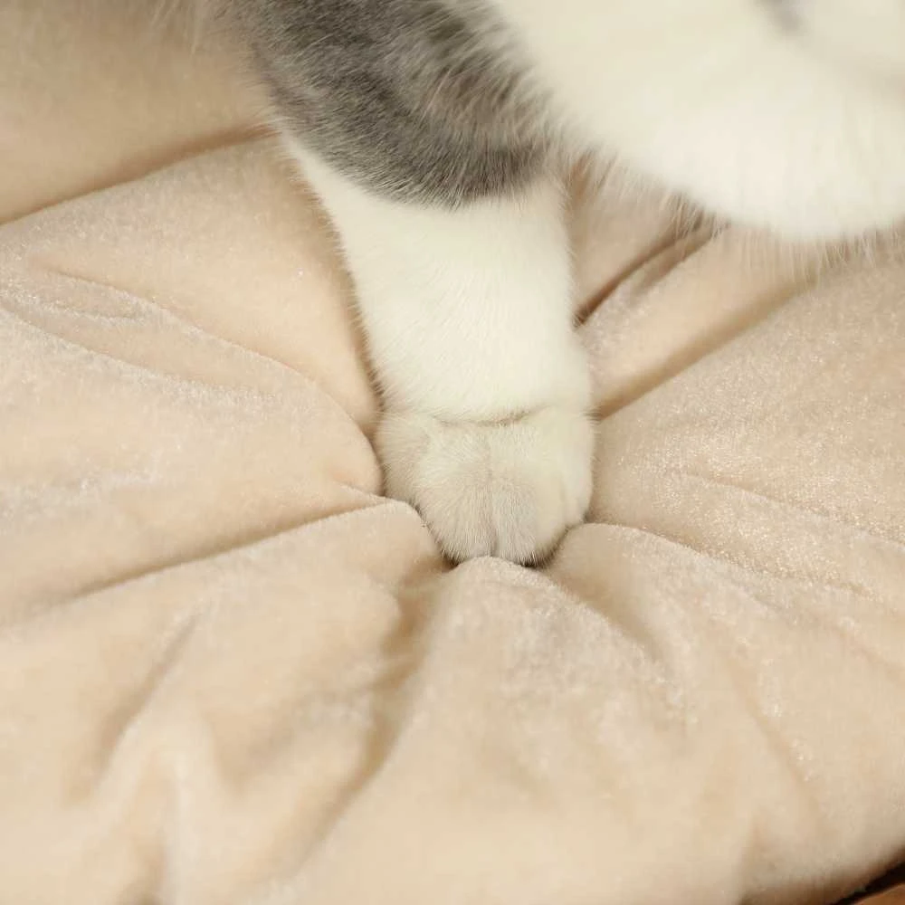 PawHut draskyklė-namelis, 50 cm aukščio katėms su 2 olomis, draskyklė su pagalvėlėmis, kačių bokštas iš vandens hiacinto, katėms iki 3,5kg, šviesiai ruda