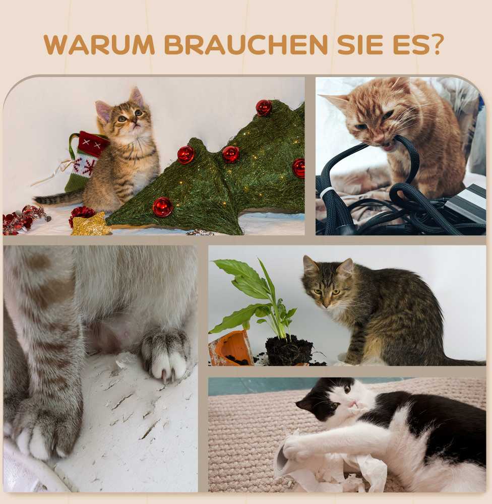 PawHut kačių laipynių rinkinys ant sienos, 5 dalių kačių baldai su draskykle, šokinėjimo platformomis, kopėčiomis, nameliu, sienine konstrukcija, katėms iki 5kg, pliušinis, smėlio spalvos