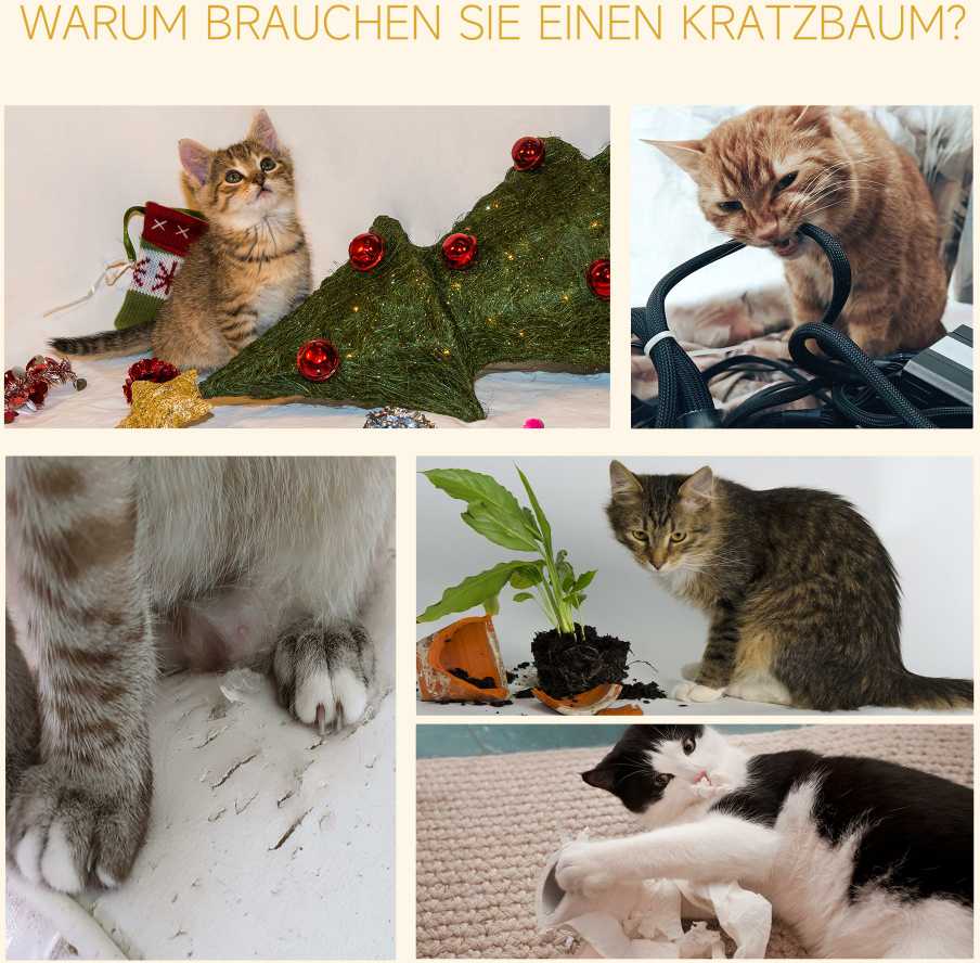 PawHut draskyklė katėms iki lubų, ruda, reguliuojamo aukščio, su sizalio stulpais, 40x34x230-260 cm