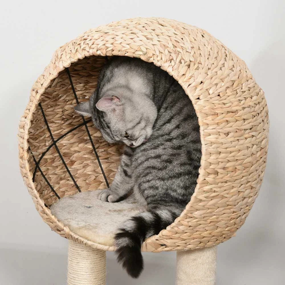 "PawHut" kačių medis, draskymo stovas, kačių baldai su urvu, kamuoliukas-žaislas, sizalis, minkštas pliušas, smėlio spalvos, aukštis 100 cm