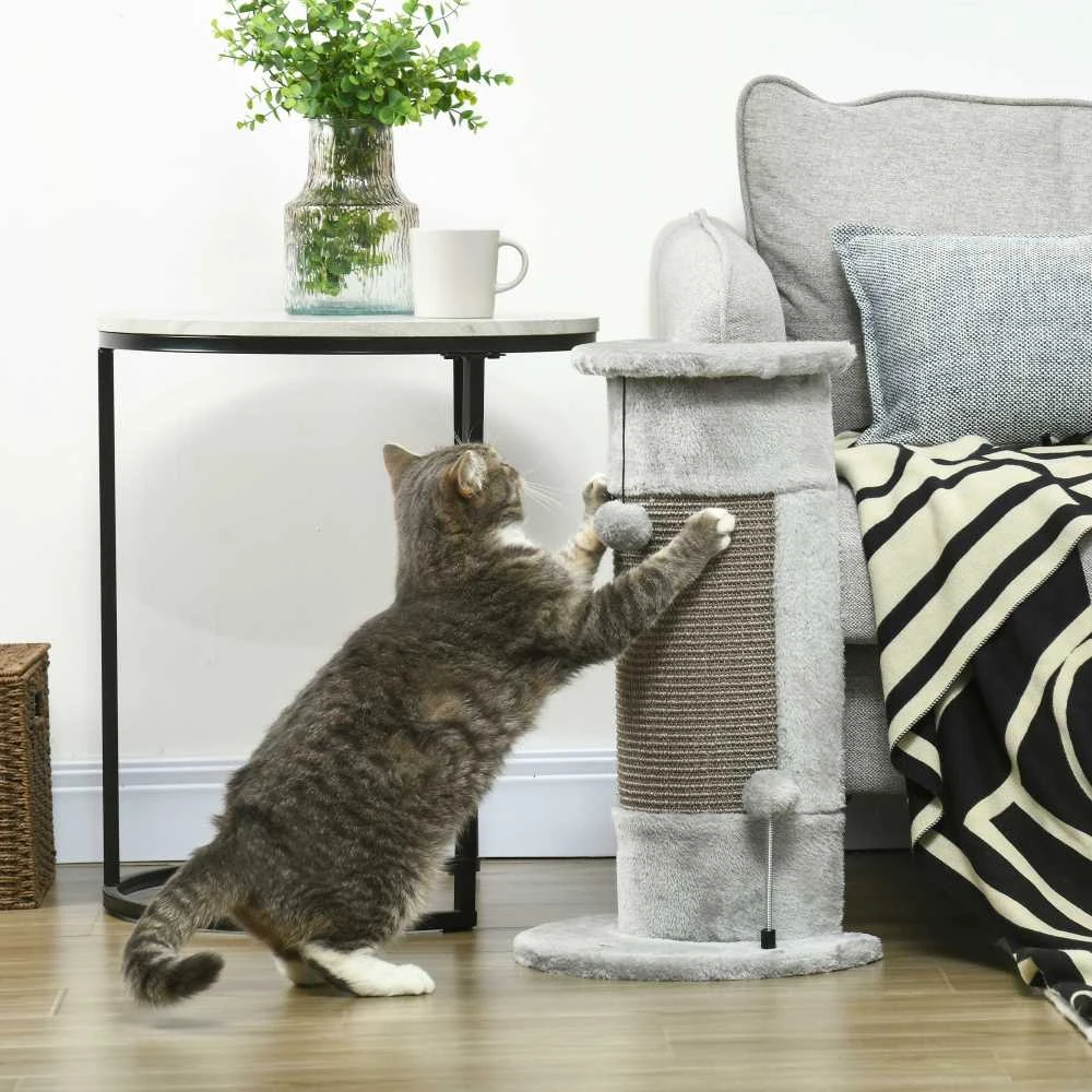 PawHut kampinis draskyklė stulpas, 58 cm Sizalio draskyklė, kačių draskyklė, maža kačių draskyklė su draskymo kamuoliuku, baldai katėms vidaus patalpoms, pilka