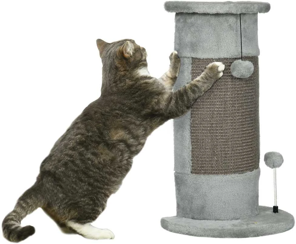 PawHut kampinis draskyklė stulpas, 58 cm Sizalio draskyklė, kačių draskyklė, maža kačių draskyklė su draskymo kamuoliuku, baldai katėms vidaus patalpoms, pilka