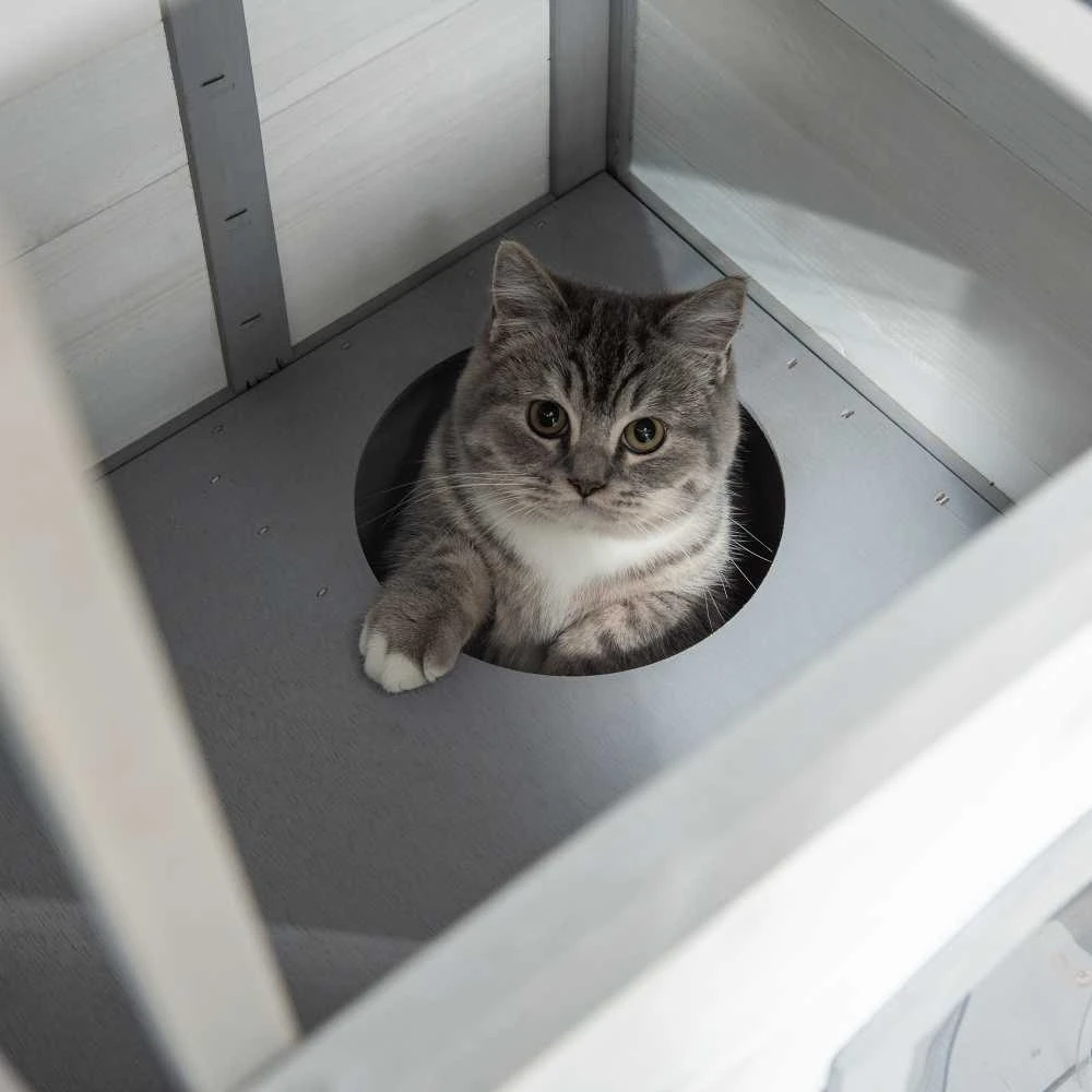 PawHut medinis kačių namelis, lauko būdelė katėms su laiptais, 2 aukštų, namelis mažiems gyvūnams iki 4,5kg, baltas, 78 x 55,5 x 91 cm