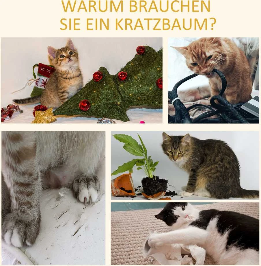 PawHut reguliuojamo aukščio draskyklė katėms, laipynė, žaidimų medis, šviesiai ruda, 43x27x228-260 cm