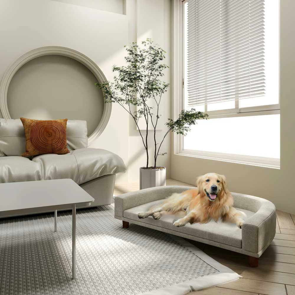 PawHut šunų sofa, naminių gyvūnėlių sofa, kačių sofa su pagalve, šunų lova dideliems šunims, šunų gultas su paaukštintu dizainu, šunų fotelis su medinėmis kojelėmis, pilka, 98 x 67 x 25 cm