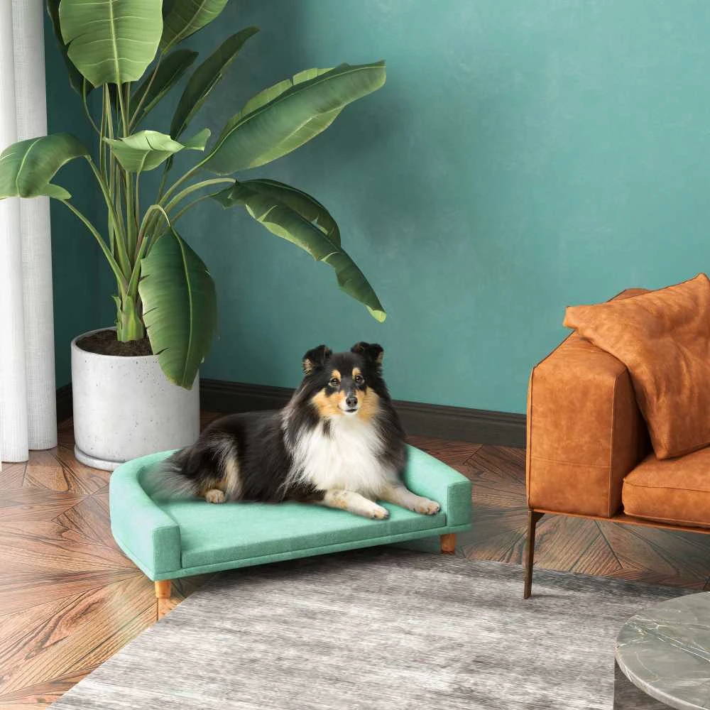 PawHut šunų sofa, patogi sofa augintiniams su pagalve, ideali dideliems šunims, pakeltas dizainas, medinės kojelės, žalia, 98x67x25 cm