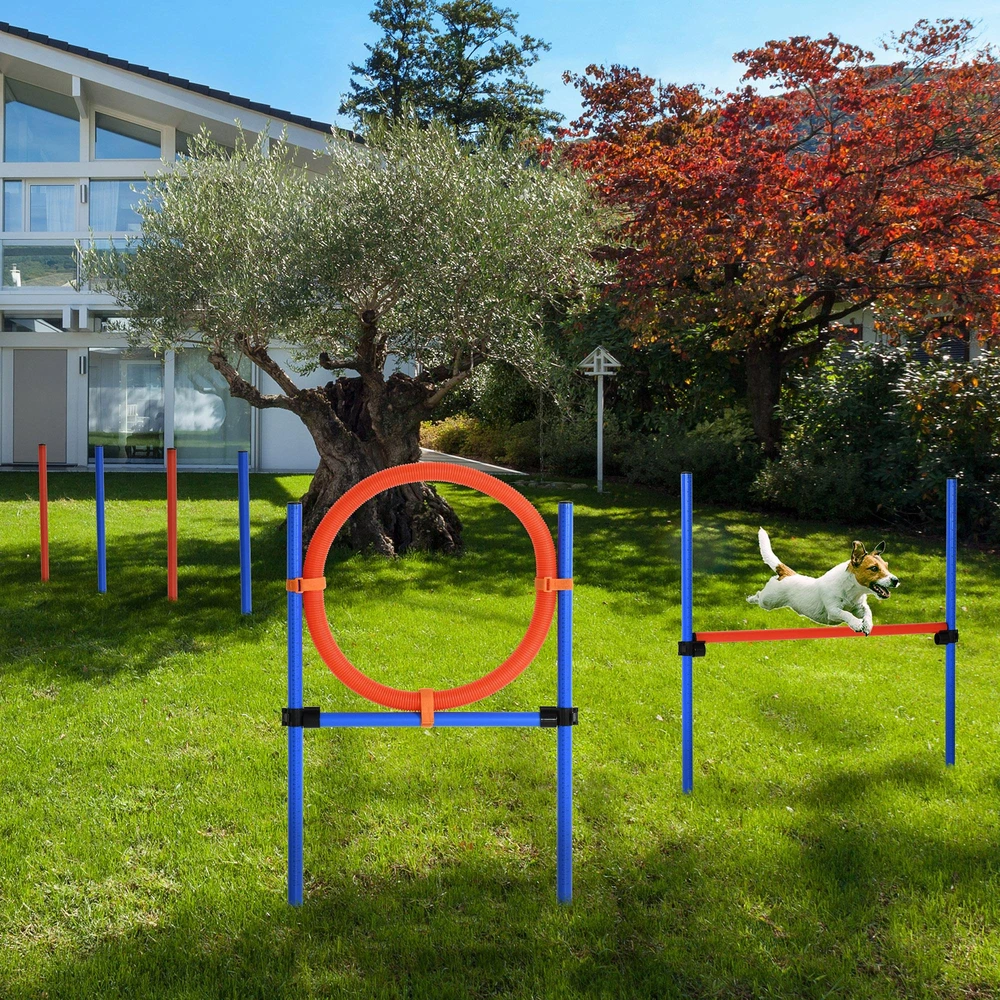 PawHut šunų dresūros įranga, agility treniruočių rinkinys, šunų agility rinkinys, 3-in-1 šunų sporto aikštelė, mėlyna+raudona