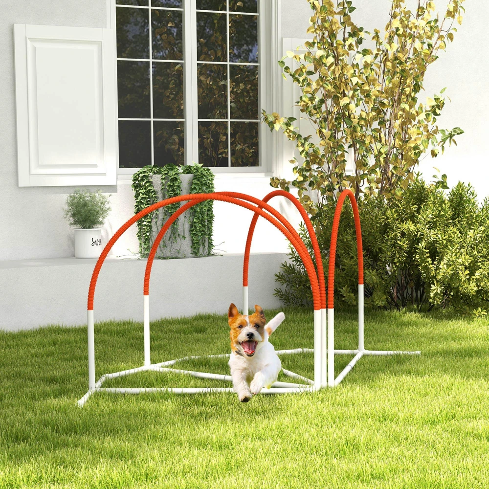 PawHut šunų dresūros rinkinys, 4 dalių rinkinys su slalomo stulpais, agility įranga šunims su Oksfordo audinio nešiojimo krepšiu, oranžinė