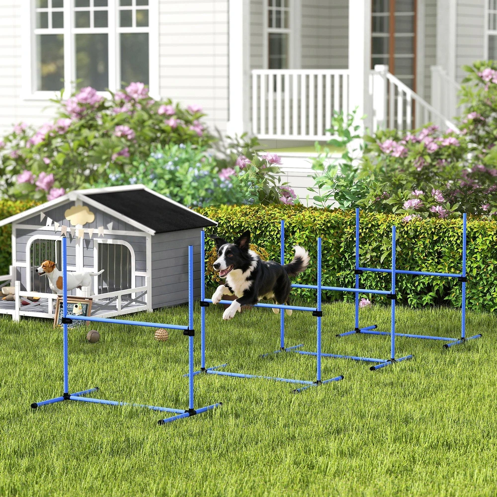 PawHut šunų dresūros rinkinys, agility kliūčių ruožas, 4 kliūtys, plastikas, mėlyna, 99x65x94 cm