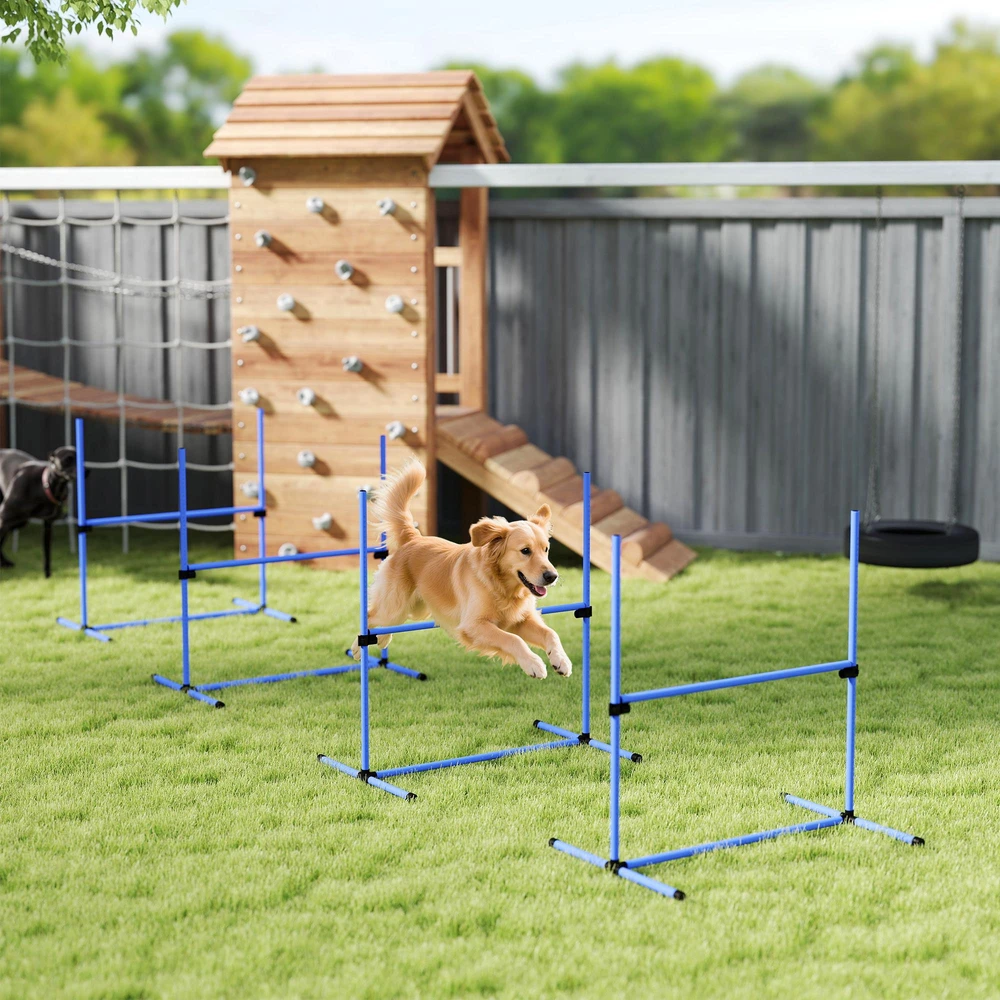 PawHut šunų dresūros rinkinys, agility kliūčių ruožas, 4 kliūtys, plastikas, mėlyna, 99x65x94 cm