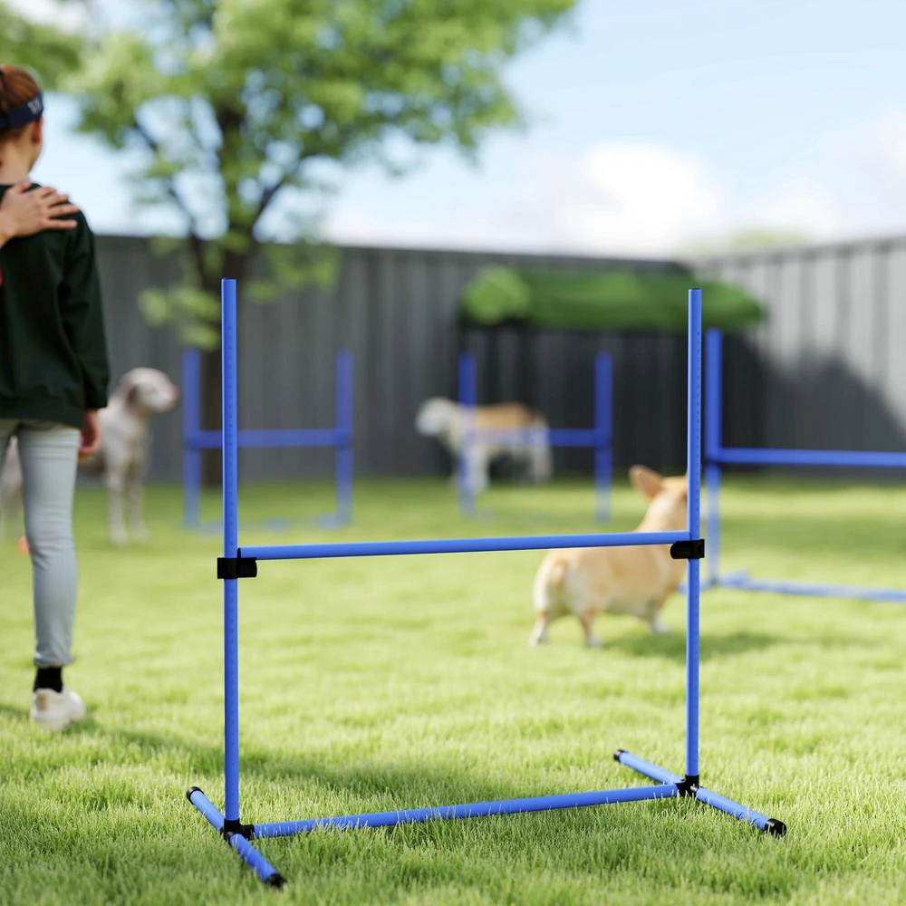 PawHut šunų dresūros rinkinys, agility kliūčių ruožas, 4 kliūtys, plastikas, mėlyna, 99x65x94 cm