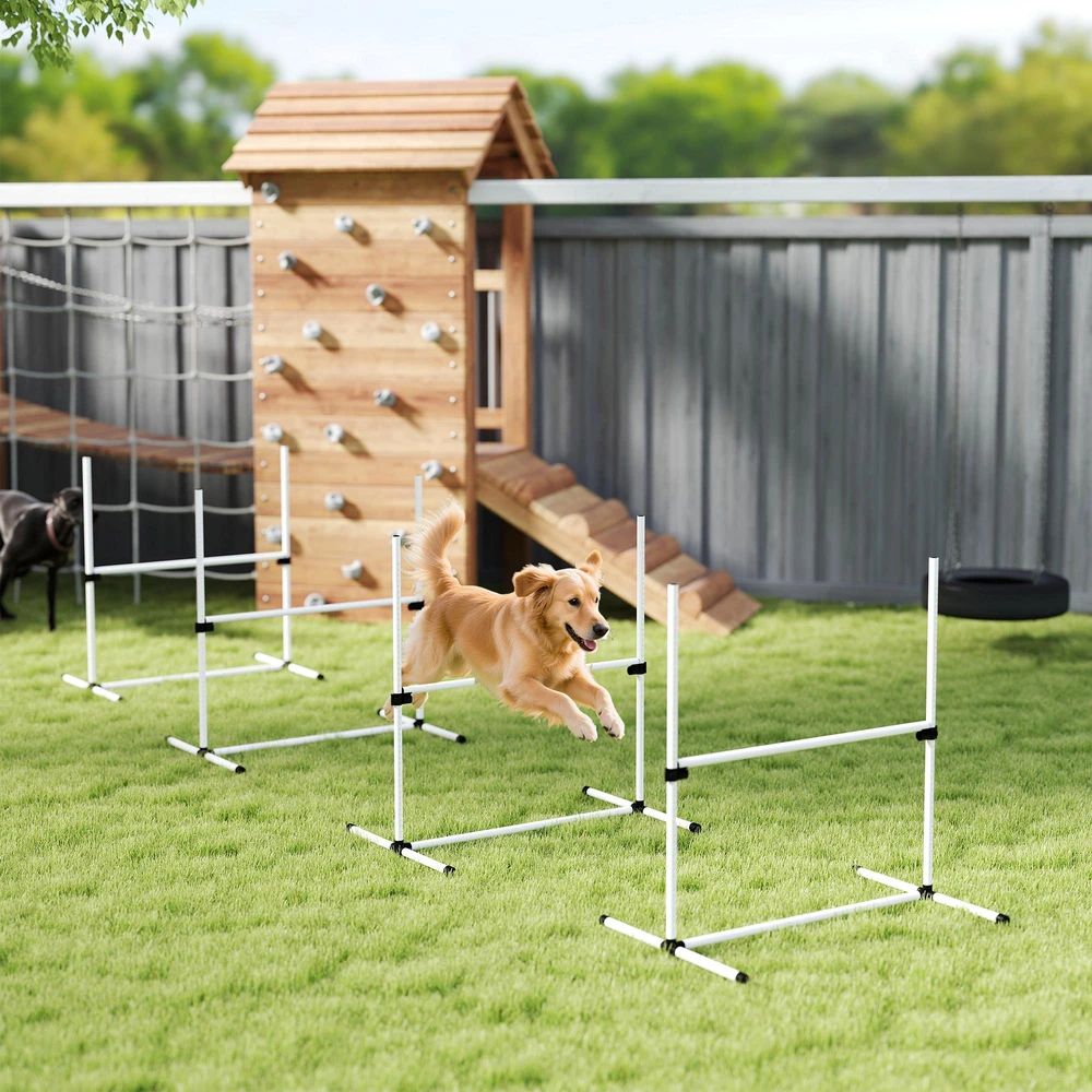 PawHut šunų dresūros rinkinys, agility kliūčių ruožas, slalomui, 4 kliūtys, plastikas, baltas, 99x65x94cm